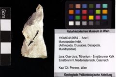 Foto (Objket + Etiketten) von Mundopsidae indet. 